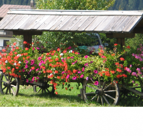 Immagine CARRO ANTICO IN LEGNO