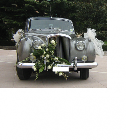 Immagine AUTO NOLEGGIO PER MATRIMONI