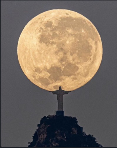 Foto di Domenico