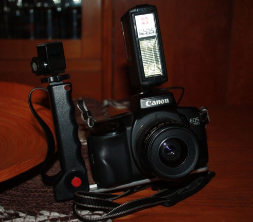 Immagine Fotocamera reflex analogica Canon eos 750 (pellicola)