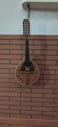 Immagine di mandolino 12 corde