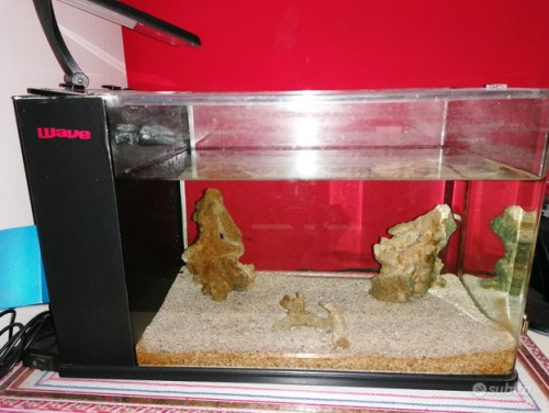 Immagine Acquario 15 litri con filtro e luci led colorate - usato e funzionante