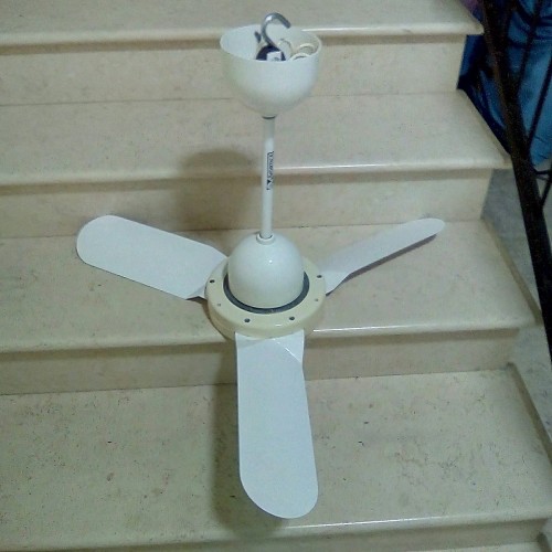 Immagine Vendo PALA VORTICE