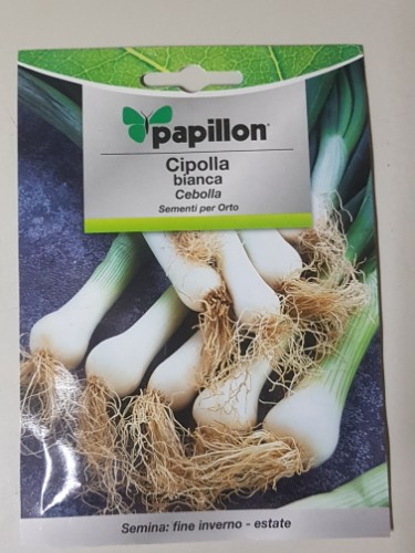 Immagine CIPOLLA BIANCA CONFEZIONI N.20