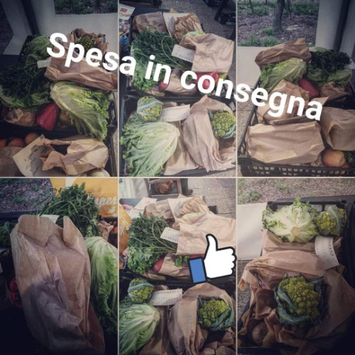 Immagine di CONSEGNA A DOMICILIO
