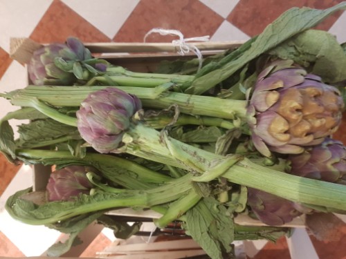 Immagine Carciofi Italia lazio